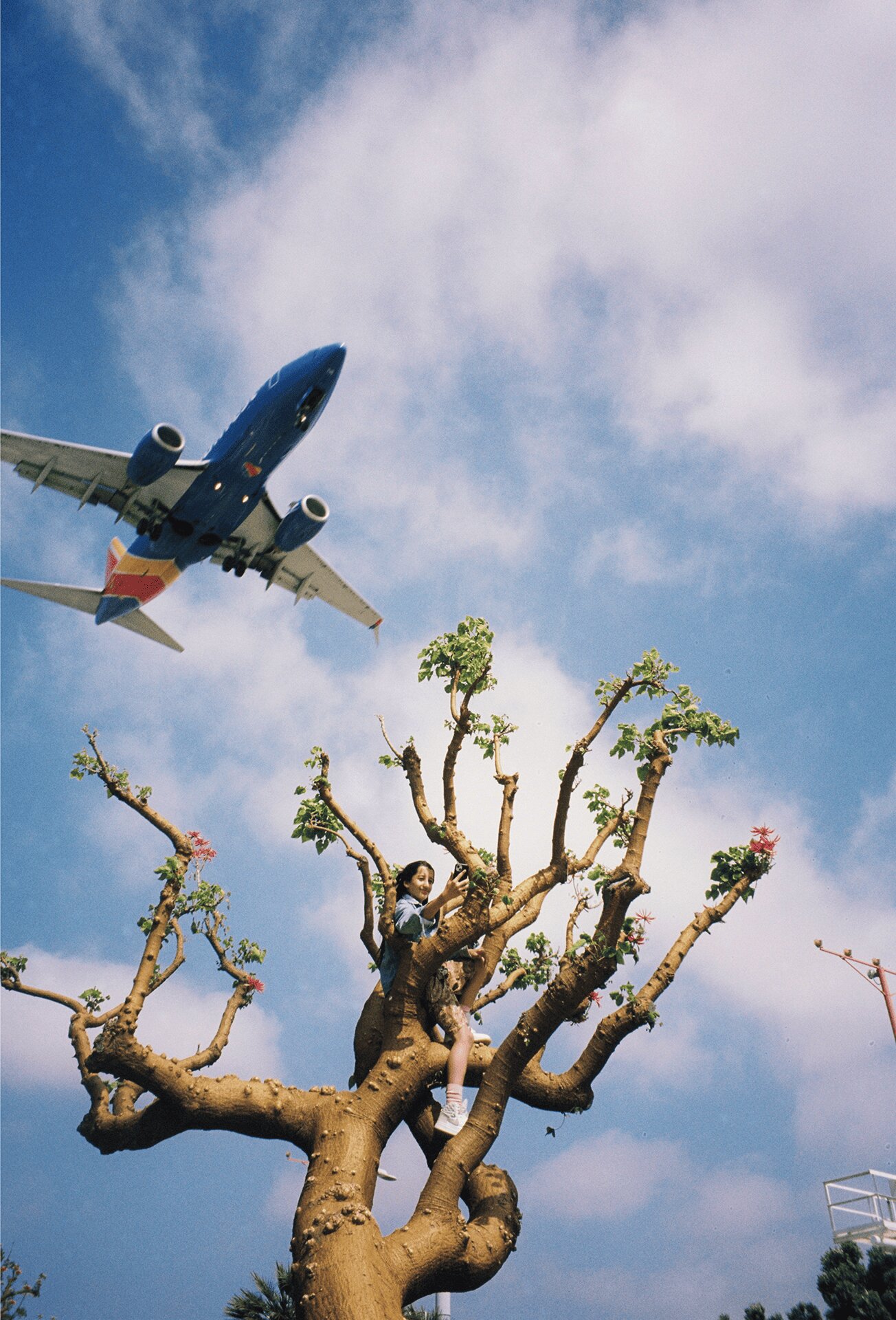 Joaquinplane