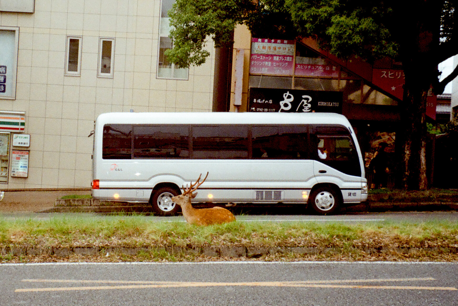 japan2